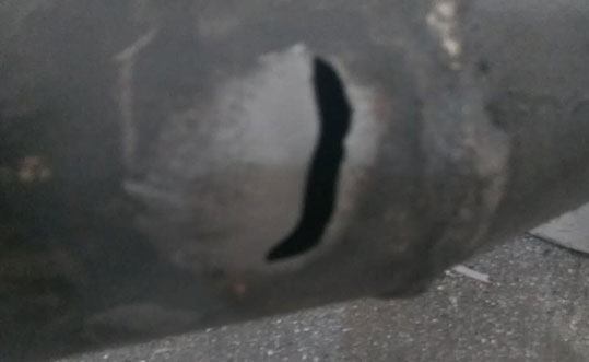 普通小蝌蚪视频网站